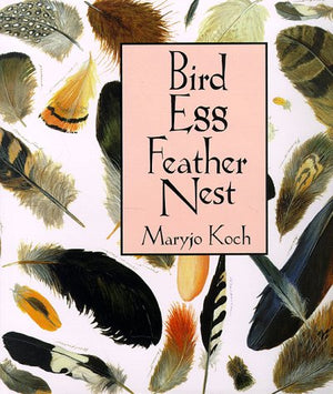 Bird Egg Feather Nest (Maryjo Koch Series),Used