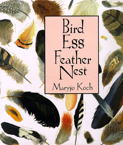 Bird Egg Feather Nest (Maryjo Koch Series),Used