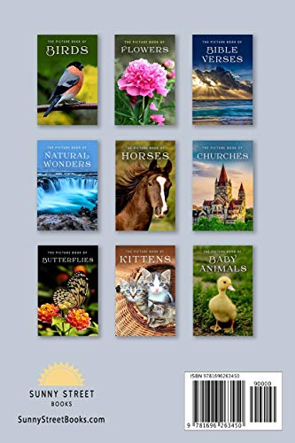 The Picture Book of American Patriotism: A Gift Book for Alzheimer's Patients and Seniors with Dementia (Picture Books  Places),Used