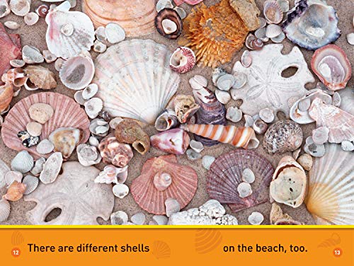 At the Beach (National Geographic Kids Readers, PreReader),Used