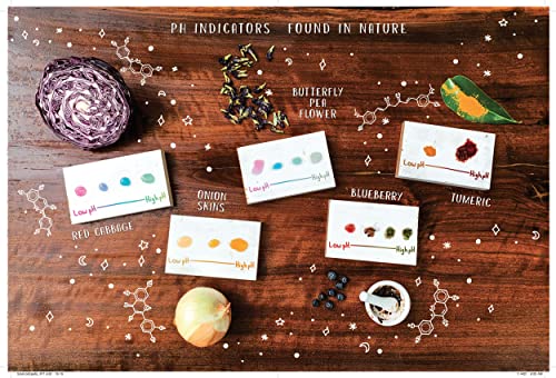 The Science Spell Book: 30 Enchanting Experiments For Kids,New