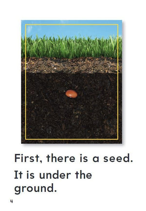 How Plants Grow (TIME FOR KIDS Nonfiction Readers),Used