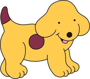 All About Spot,Used