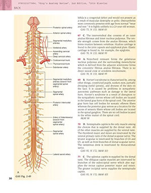 Gray'S Anatomy Review: With Student Consult Online Access, 2E,Used