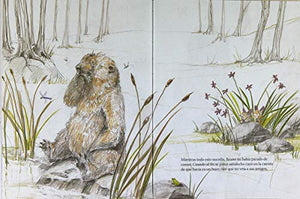 Martn y la llegada de la primavera / Martin and the coming of spring (Los Especiales De La Orilla Del Viento) (Spanish Edition,Used