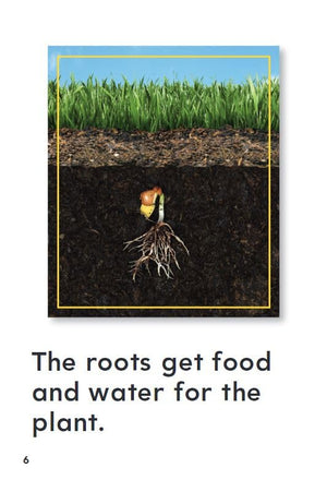 How Plants Grow (Time For Kids Nonfiction Readers)
