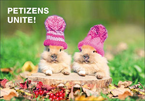 Fire and Furry: Pets Get Political,Used