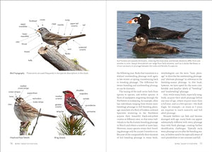Birds of the Pacific Northwest (A Timber Press Field Guide),Used