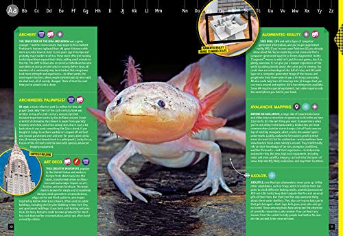 Nerd A to Z: Your Reference to Literally Figuratively Everything You've Always Wanted to Know,Used