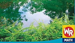 Measuring at the Pond (Math in Our World Level 3),Used