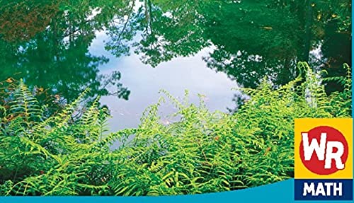 Measuring at the Pond (Math in Our World Level 3),Used