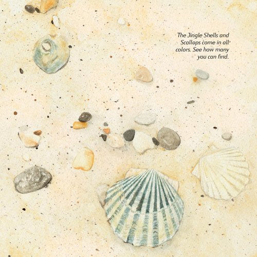 Seashells: Treasures From The Northeast Coast,Used
