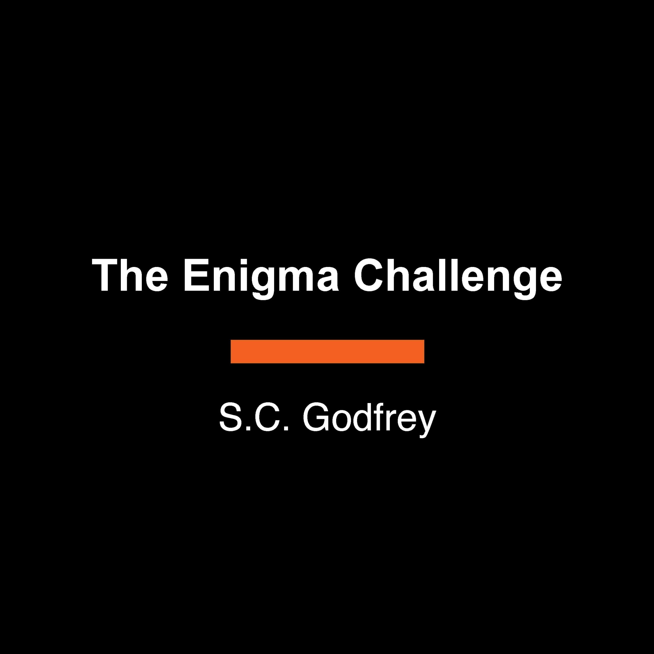The Enigma Challenge: A Novel
