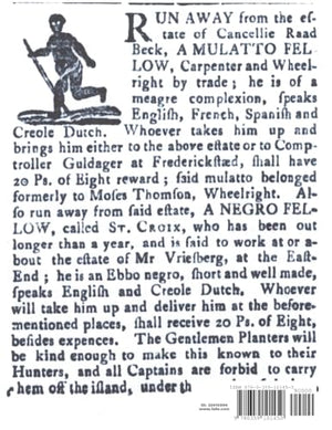 Runaway Virgins: Danish West Indian Slave Ads 17701848,Used