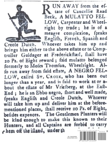 Runaway Virgins: Danish West Indian Slave Ads 17701848,Used