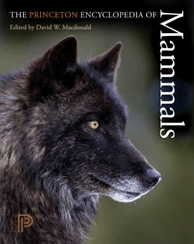 The Princeton Encyclopedia of Mammals,New