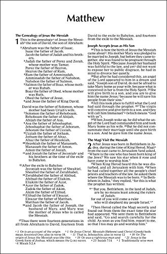 Outreach New Testament: New International Version, Green Forest Path,Used