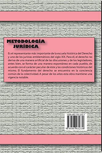 Metodologia Juridica (Spanish Edition),Used