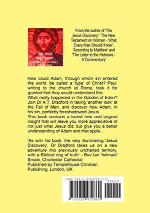 Adam  Sinner or Saint? Another Look at the Fall,Used