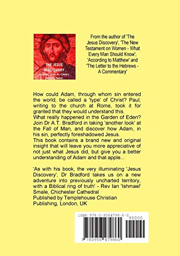 Adam  Sinner or Saint? Another Look at the Fall,Used