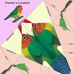 Easy Bird Origami: 30 PrePrinted Bird Models (Dover Origami Papercraft),Used