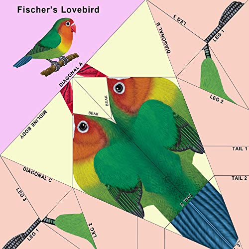 Easy Bird Origami: 30 PrePrinted Bird Models (Dover Origami Papercraft),Used