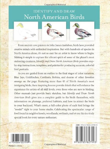 Identify And Draw North American Birds: A Field Guide For The Artist And Naturalist
