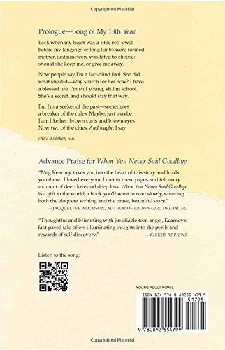 When You Never Said Goodbye: An Adoptee's Search for Her Birth Mother: A Novel in Poems and Journal Entries,Used