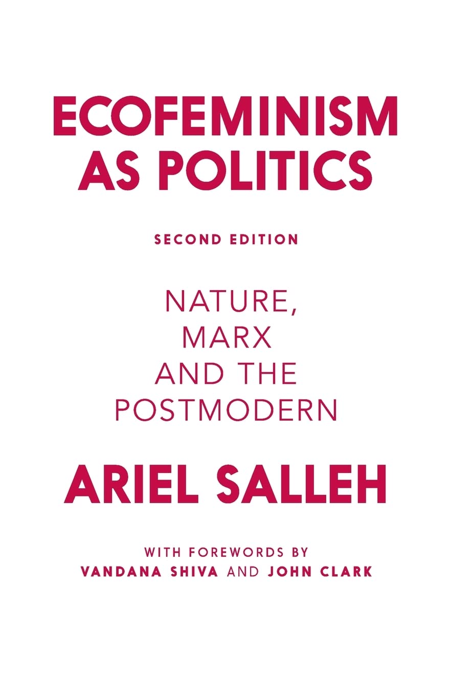 Ecofeminism as Politics: Nature, Marx and the Postmodern,Used