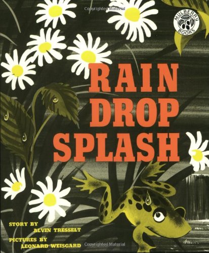 Rain Drop Splash,Used