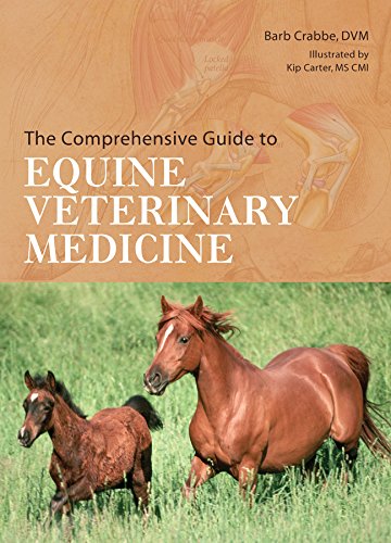 The Comprehensive Guide to Equine Veterinary Medicine,Used