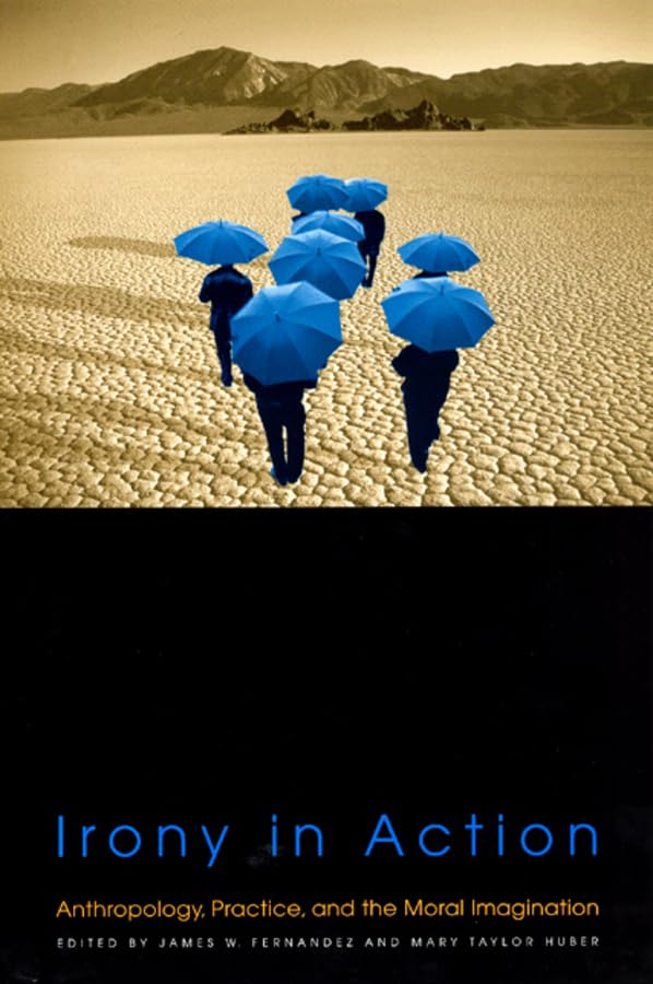 Irony in Action: Anthropology, Practice, and the Moral Imagination,Used