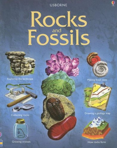 Rocks & Fossils (Hobby Guides),Used