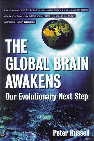 The Global Brain Awakens: Our Next Evolutionary Leap,Used