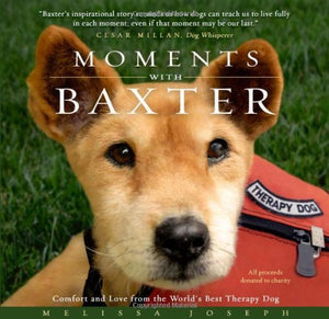Moments With Baxter: Comfort and Love from the World's Best Therapy Dog,New