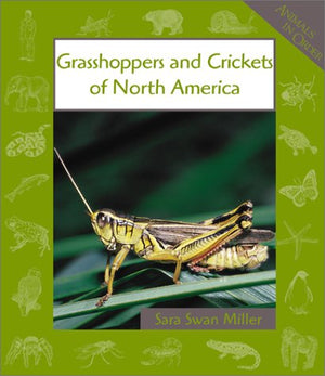 Grasshoppers and Crickets of North America (Animals in Order),New