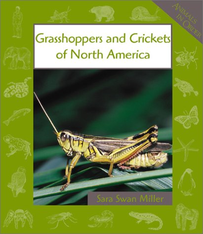 Grasshoppers and Crickets of North America (Animals in Order),Used