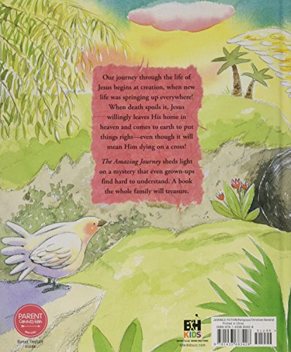 The Amazing Journey: Jesus, Creation, Death, and Life!,Used