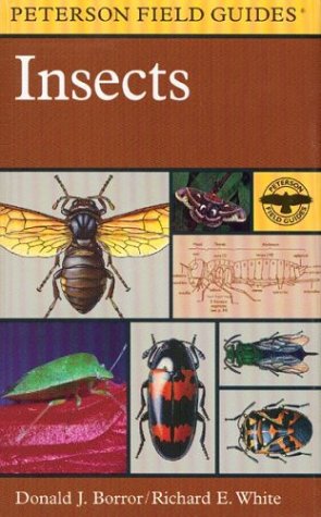 A Field Guide to Insects: America North of Mexico (Peterson Field Guide Series),Used