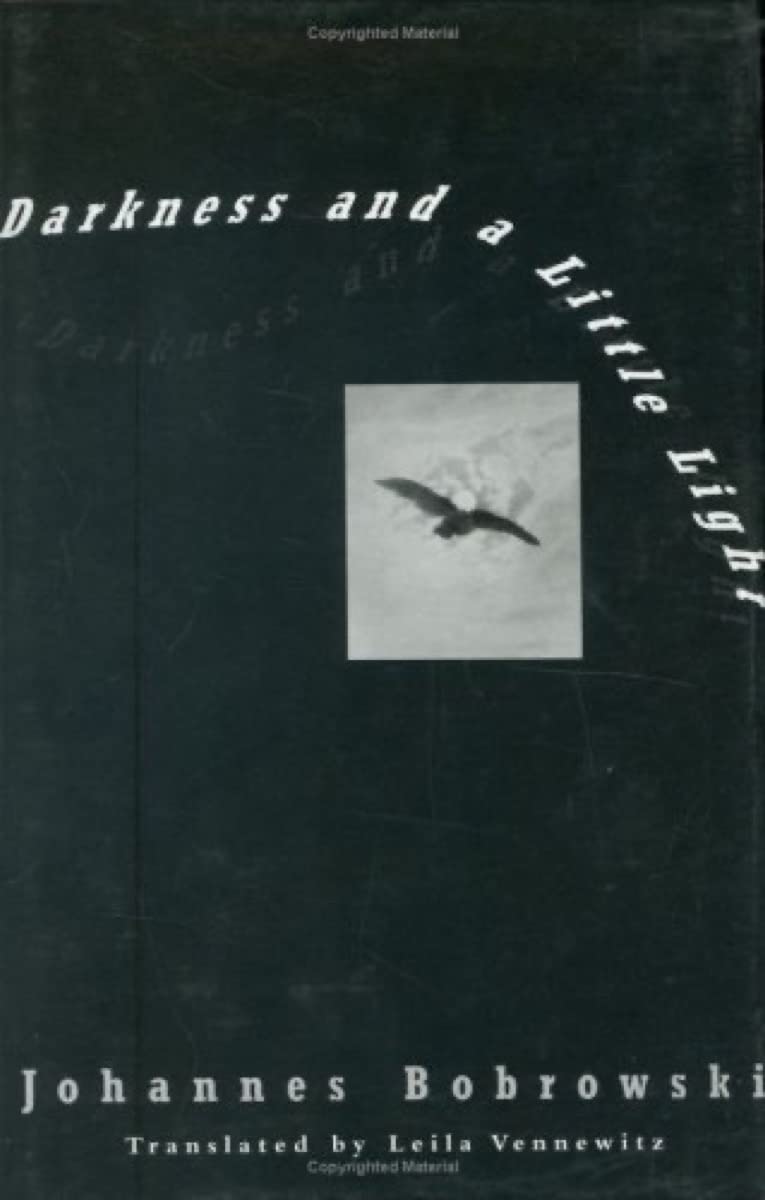 Darkness And A Little Light: Stories