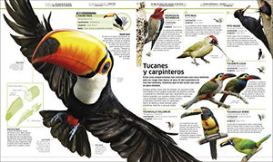 Animales (Knowledge Encyclopedia Animal!): El Reino Animal Como Nunca Lo Hab?As Visto (Dk Knowledge Encyclopedias) (Spanish Edit