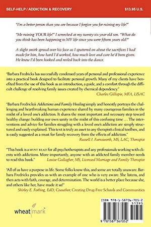 Addictions and Family Healing: Strategies That Work,Used