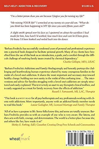 Addictions and Family Healing: Strategies That Work,Used