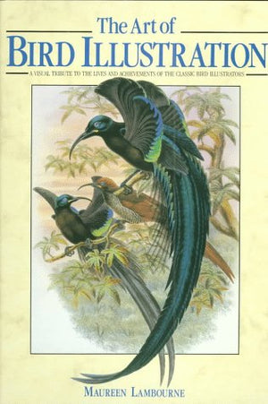 The Art Of Bird Illustration