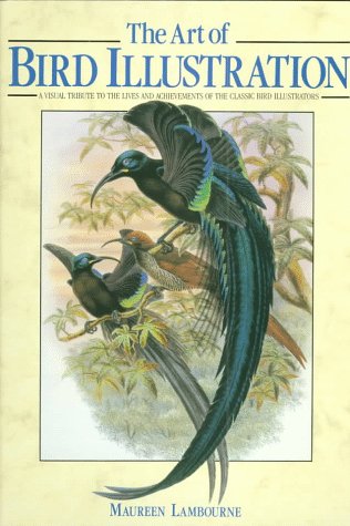 The Art Of Bird Illustration