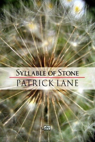 Syllable Of Stone (Arc International Poets),Used