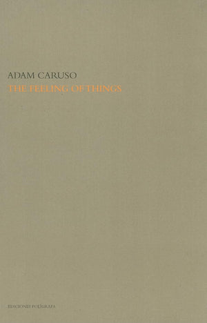 The Feeling Of Things By Adam Caruso