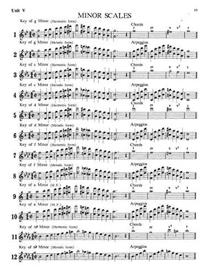 I Recommend: C Flute (Piccolo),Used