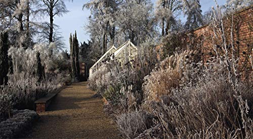 Tom Stuart Smith: Drawn from the Land,Used