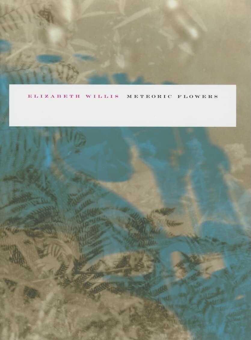 Meteoric Flowers (Wesleyan Poetry Series),New